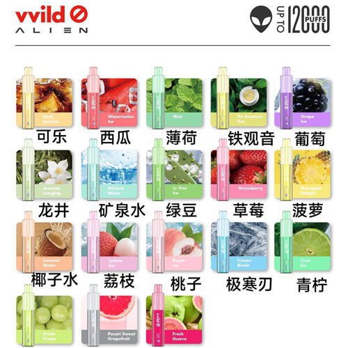 小野外星人VVILD